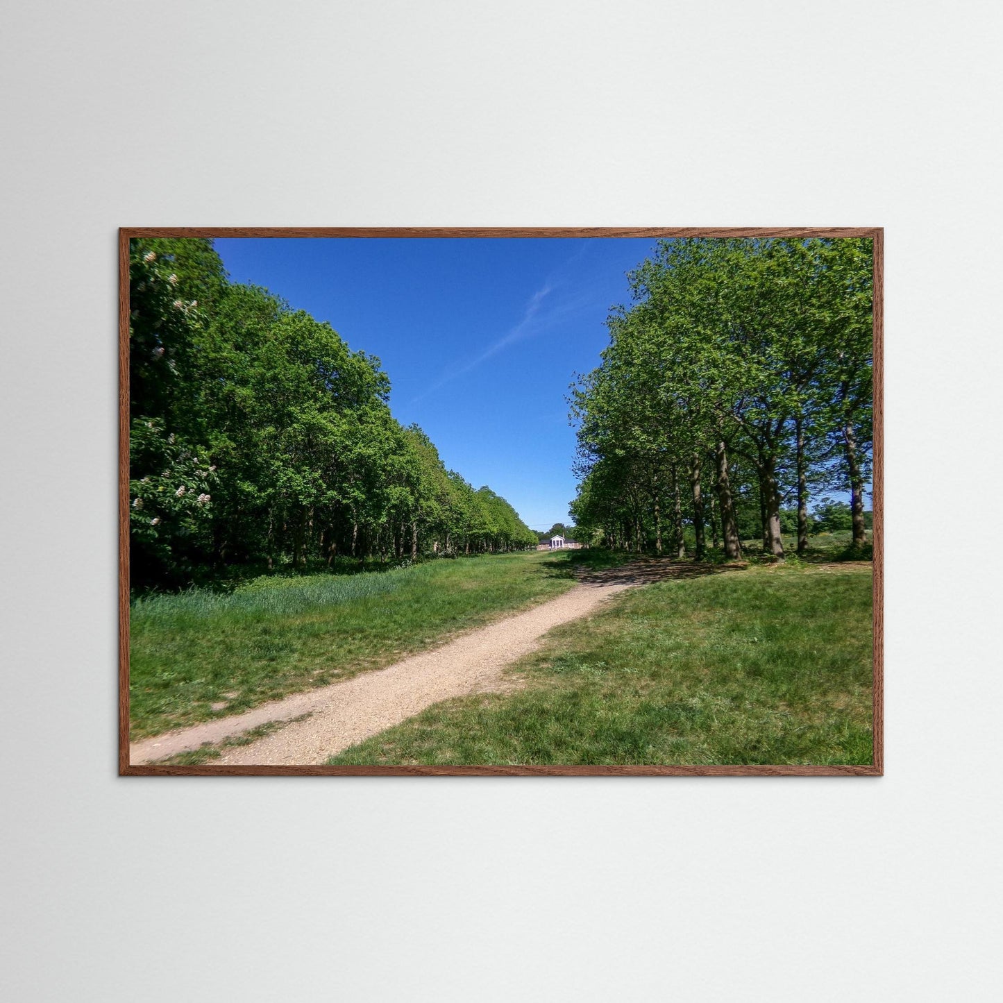 Pathway