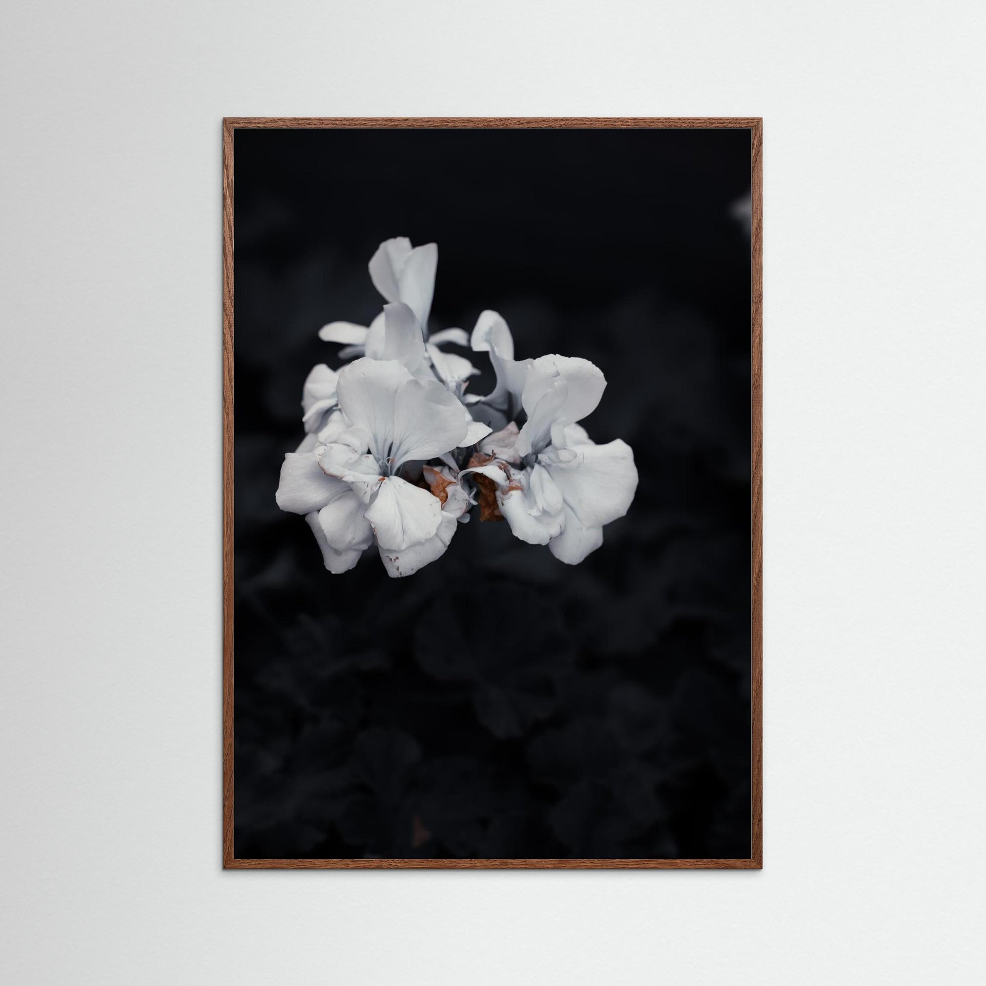 Quiet Bloom