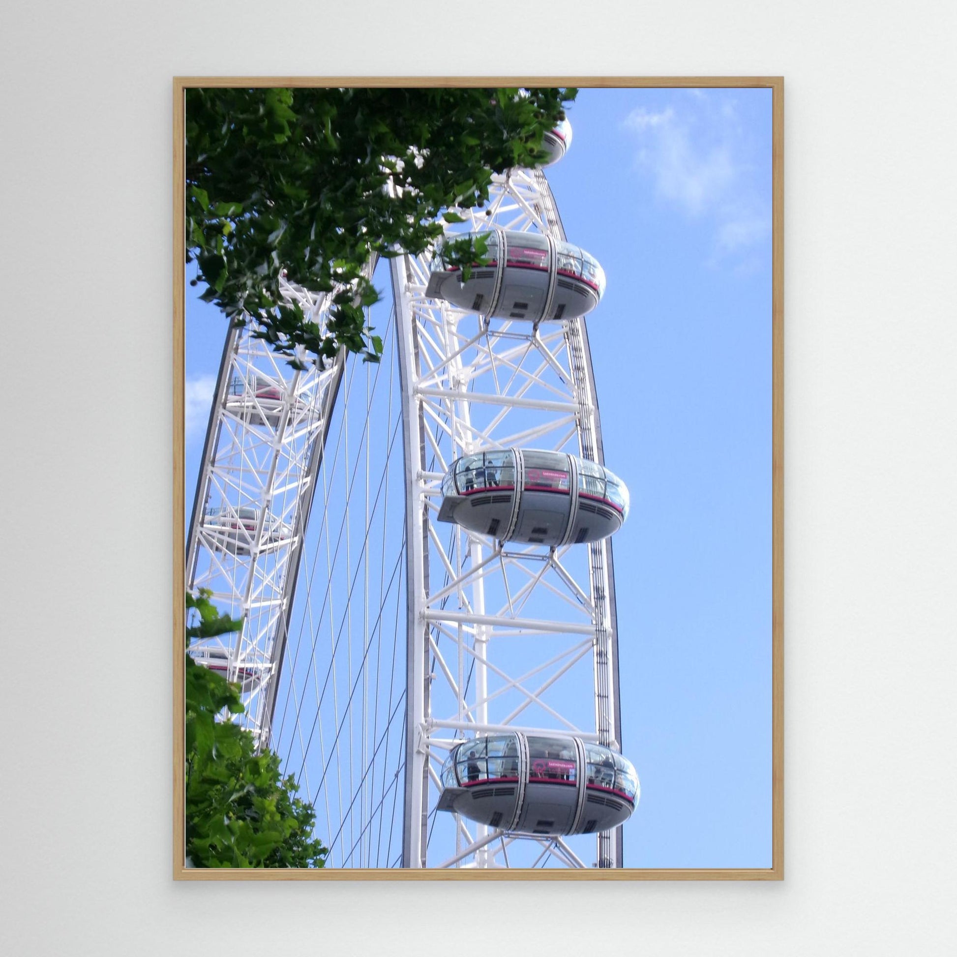 the eye