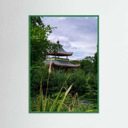 Hidden in the leaves