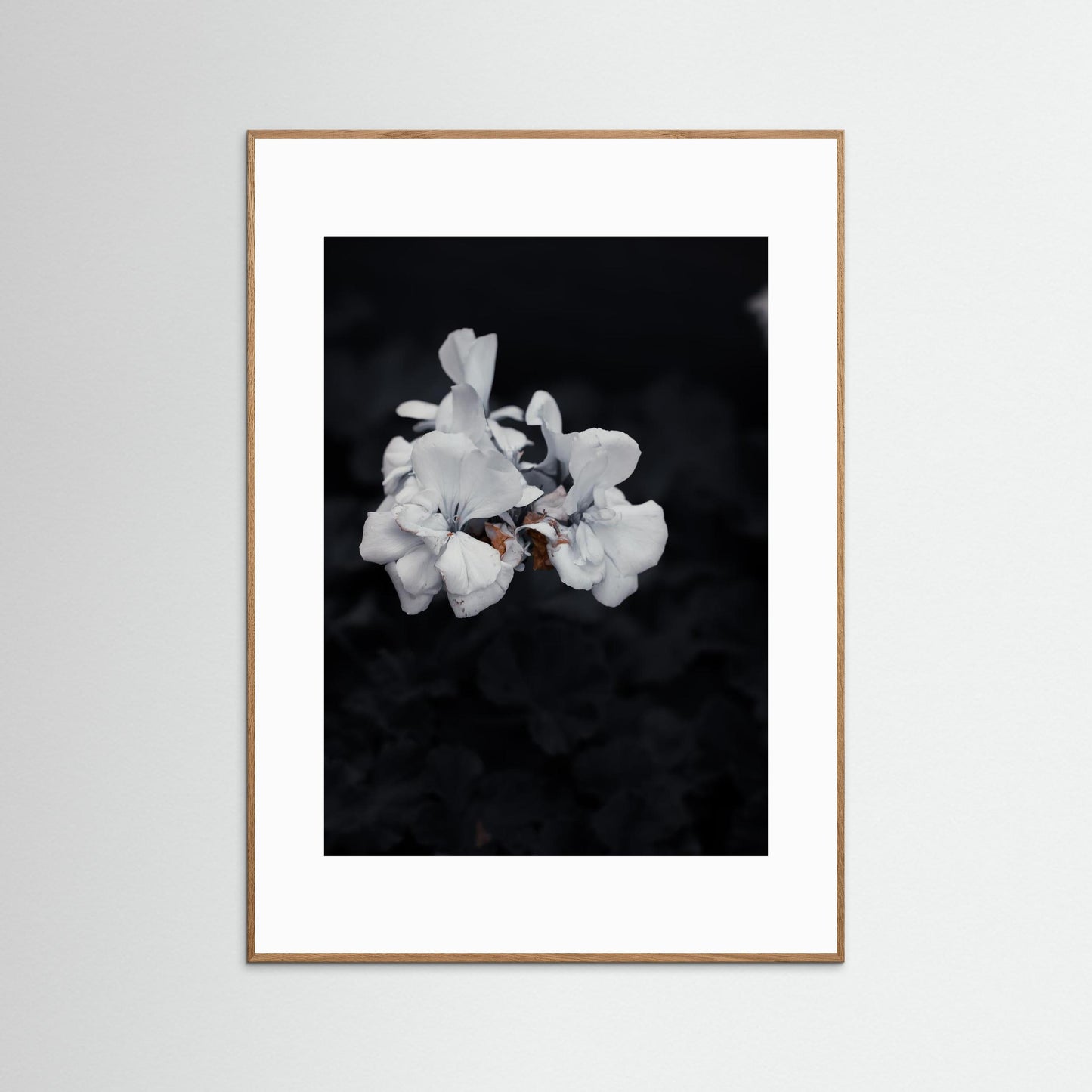 Quiet Bloom