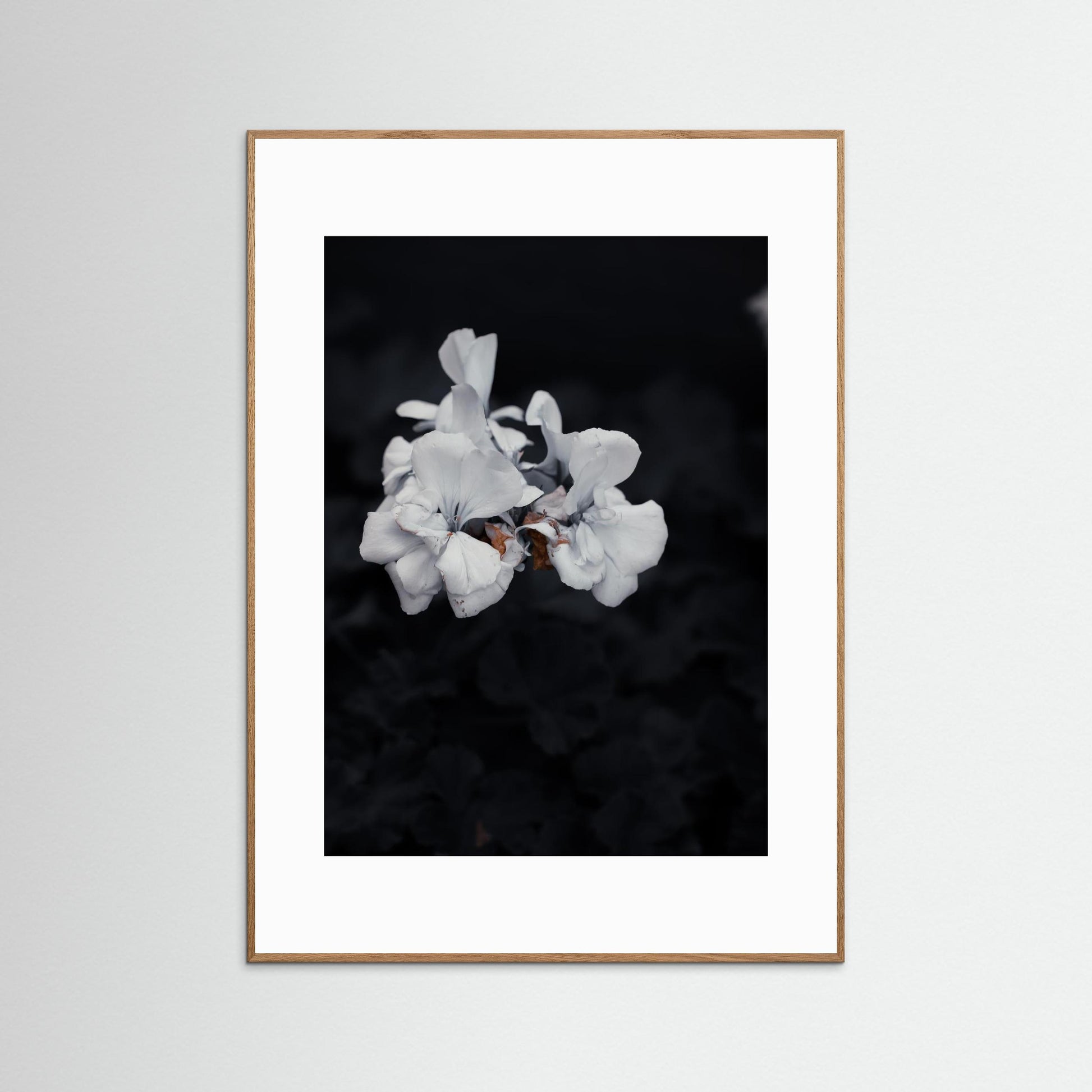 Quiet Bloom