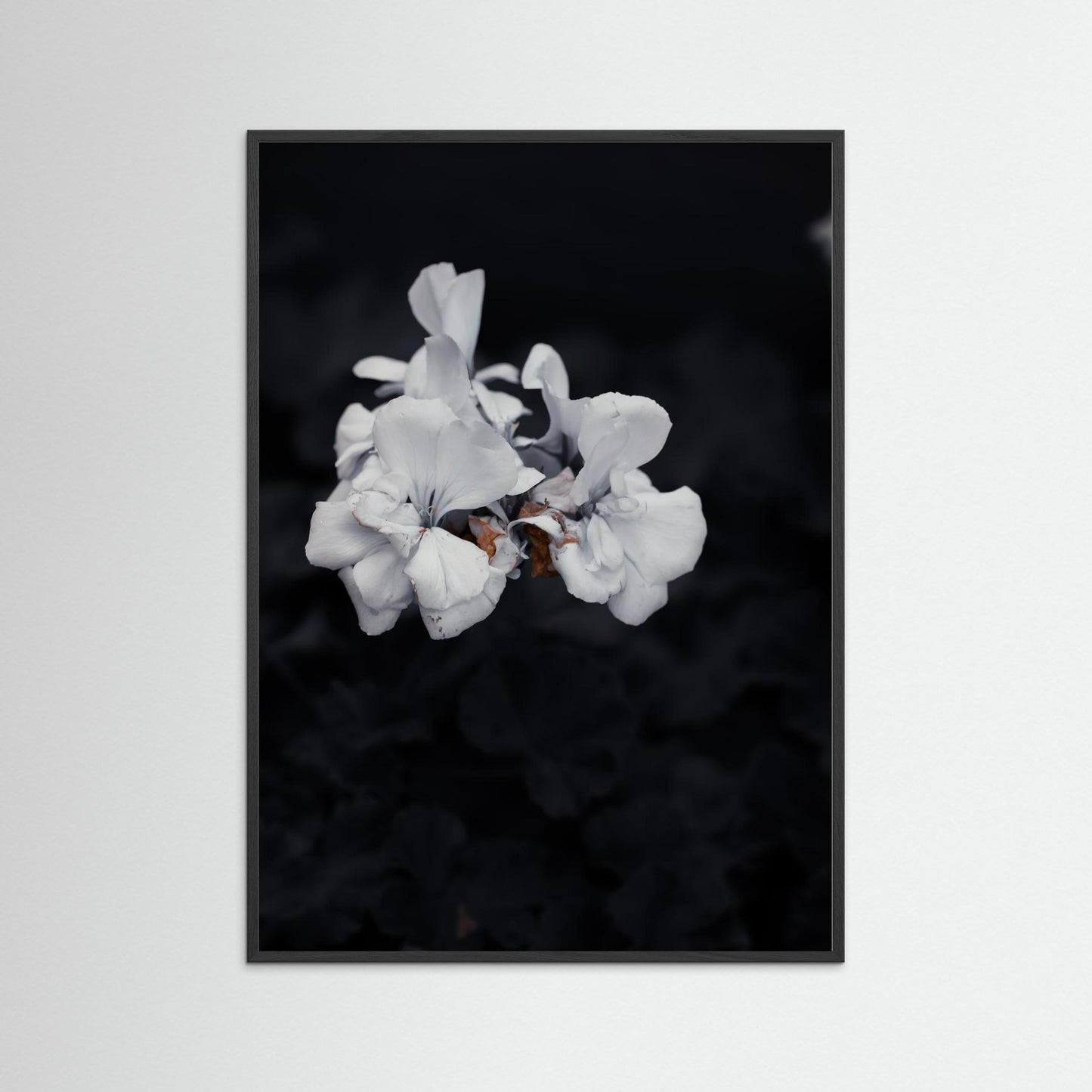Quiet Bloom