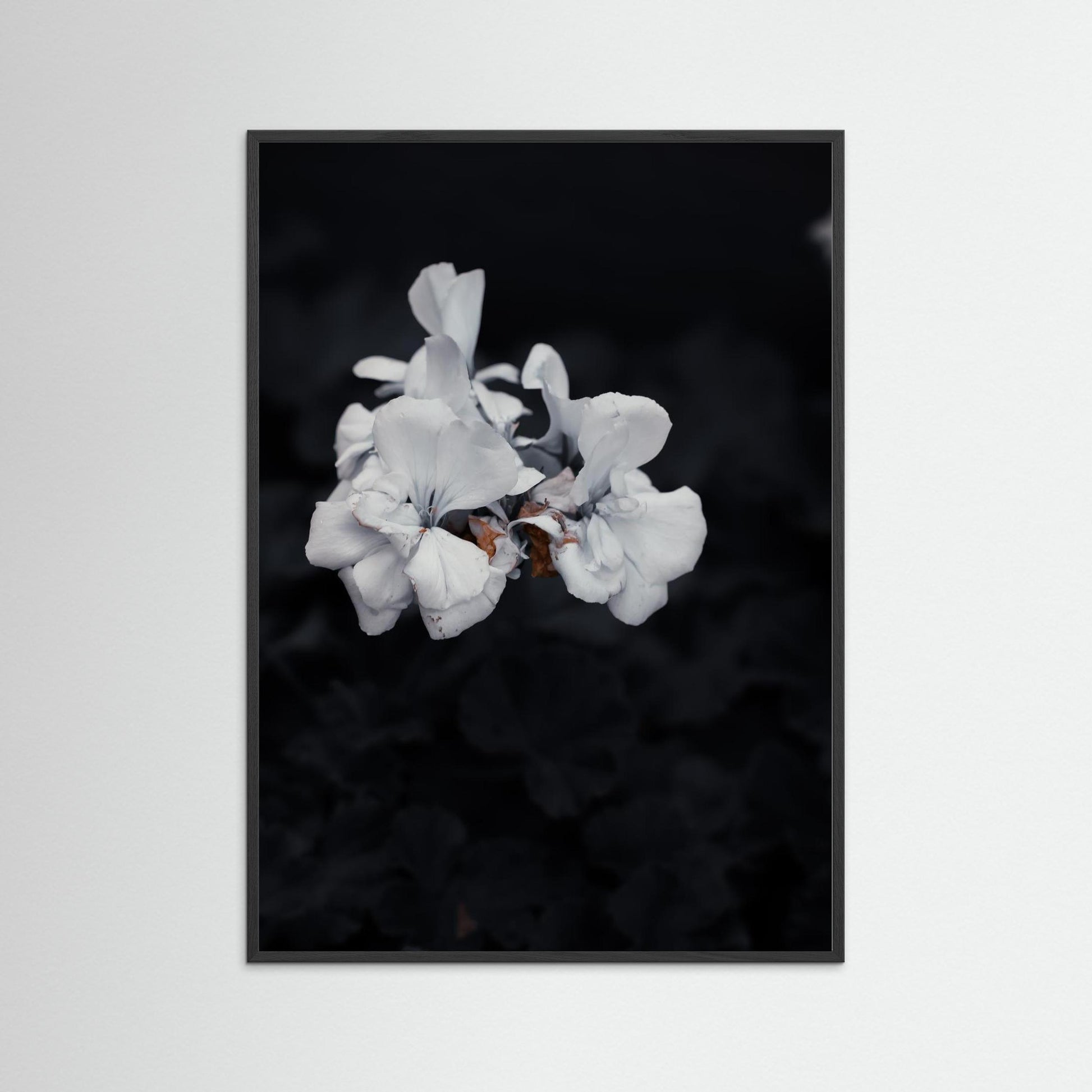 Quiet Bloom