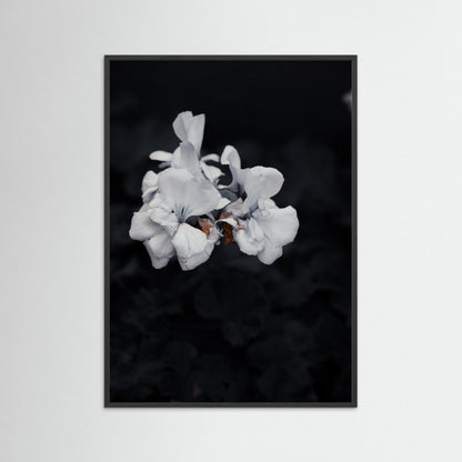Quiet Bloom