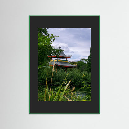 Hidden in the leaves