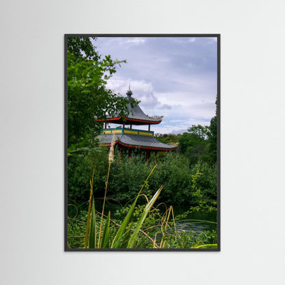 Hidden in the leaves