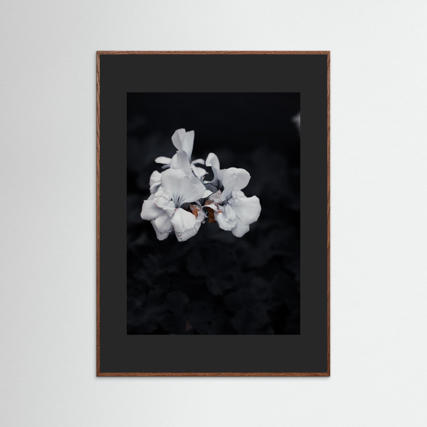 Quiet Bloom