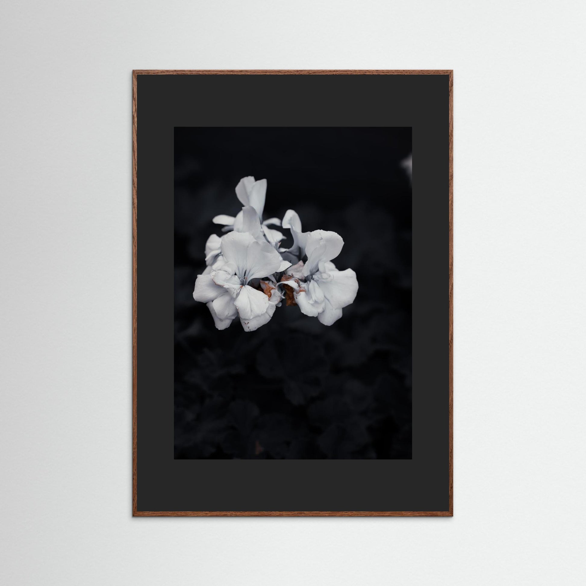 Quiet Bloom