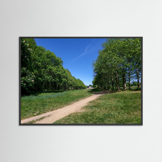 Pathway