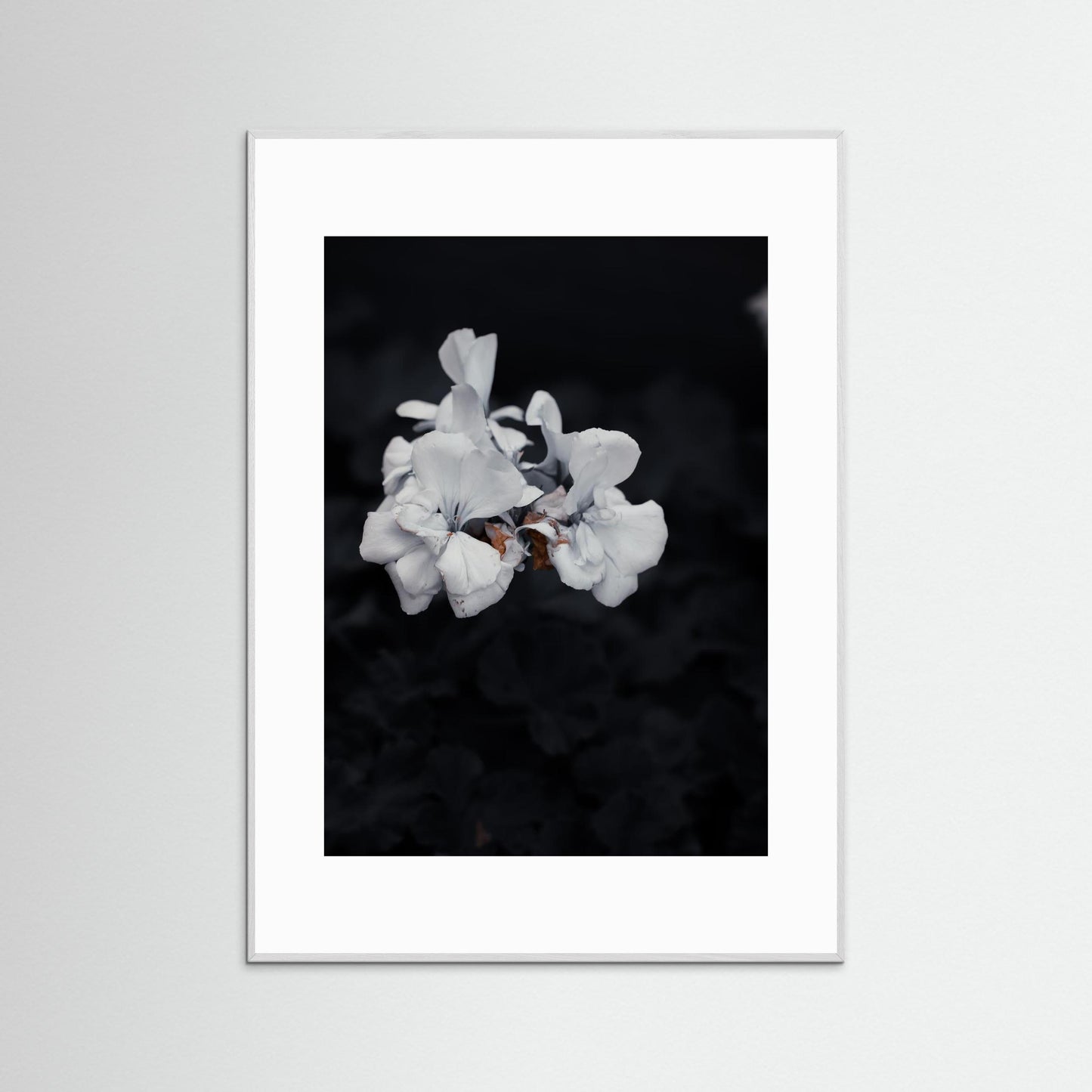 Quiet Bloom