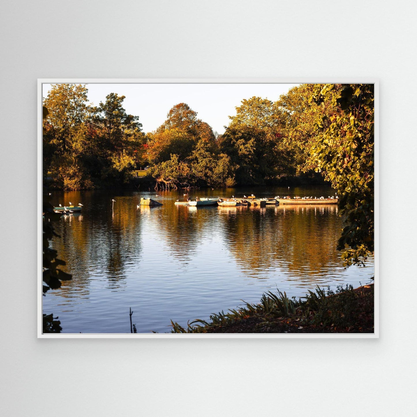 Golden Reflections on a Quiet Lake