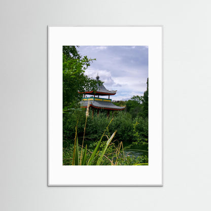 Hidden in the leaves