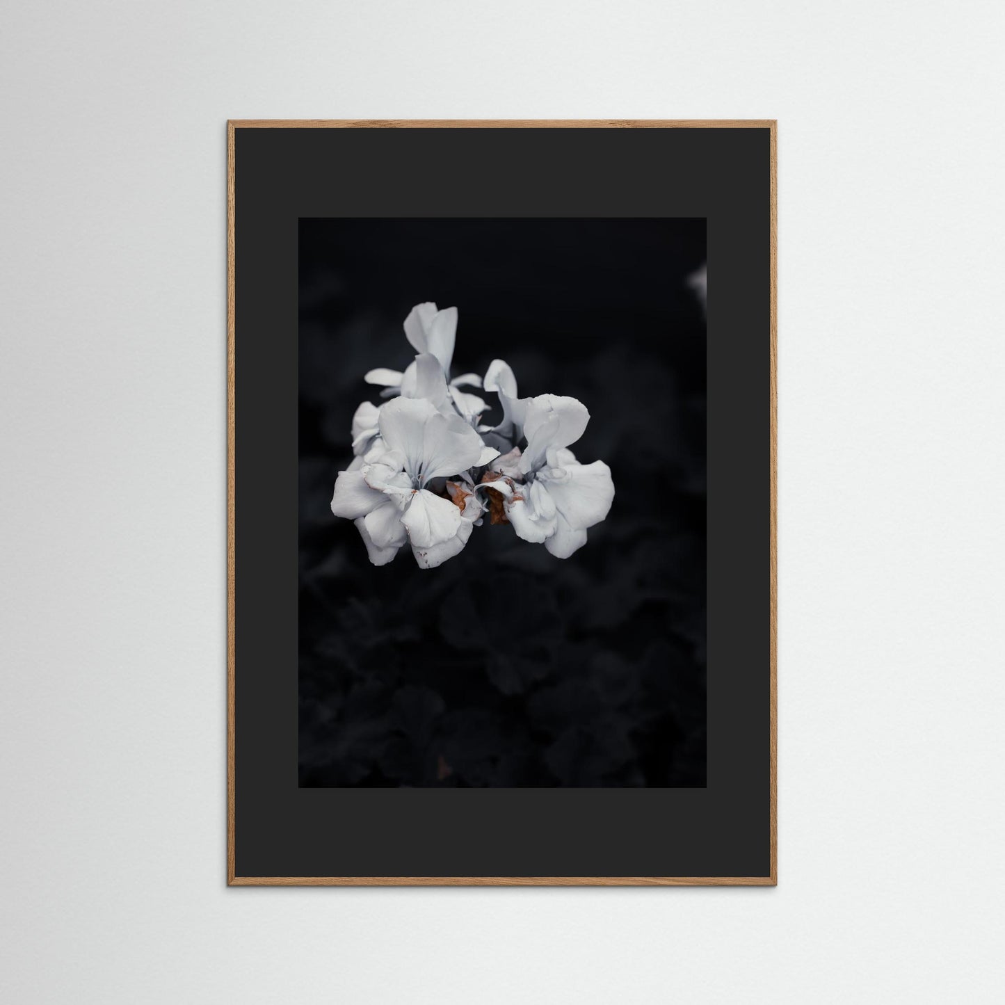 Quiet Bloom