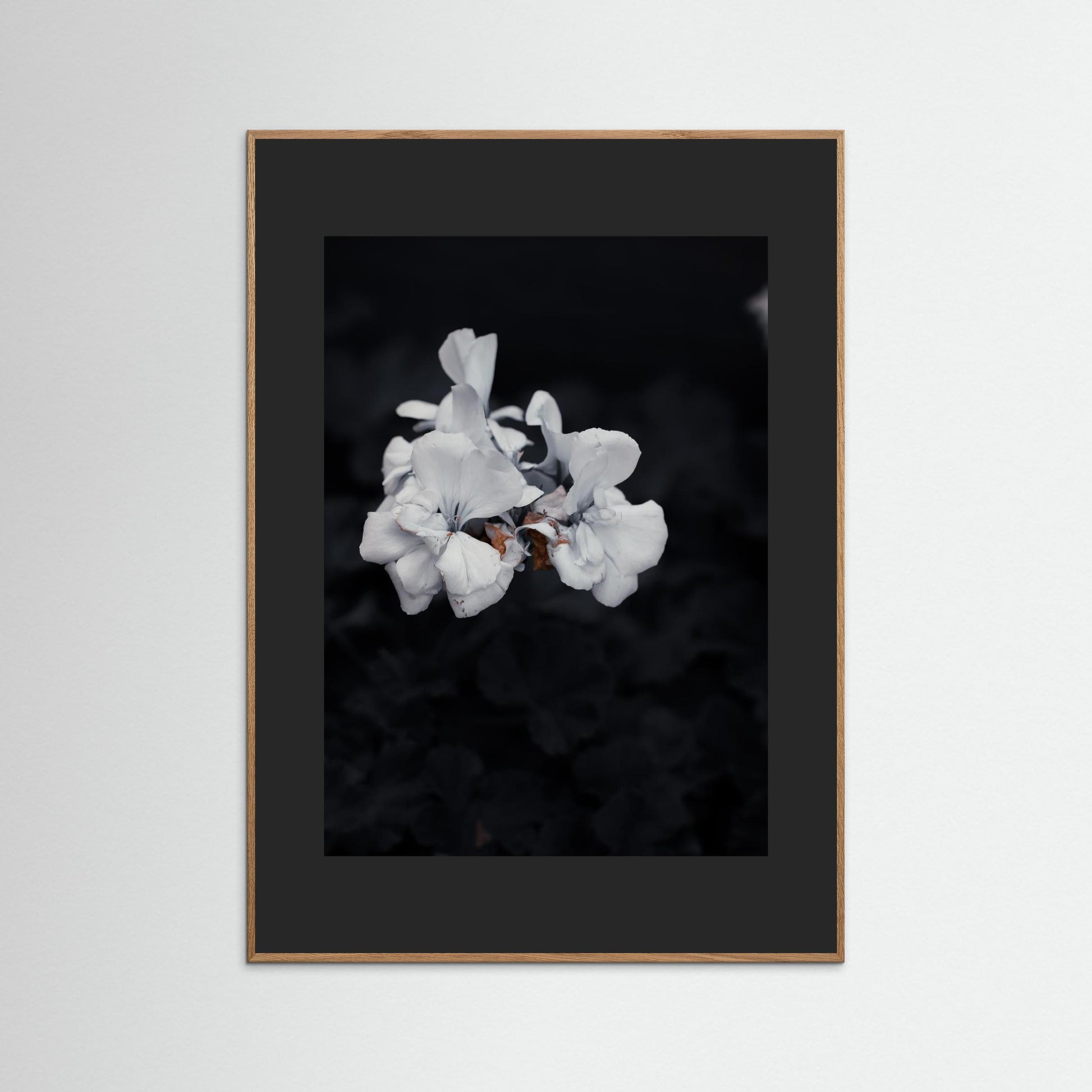 Quiet Bloom