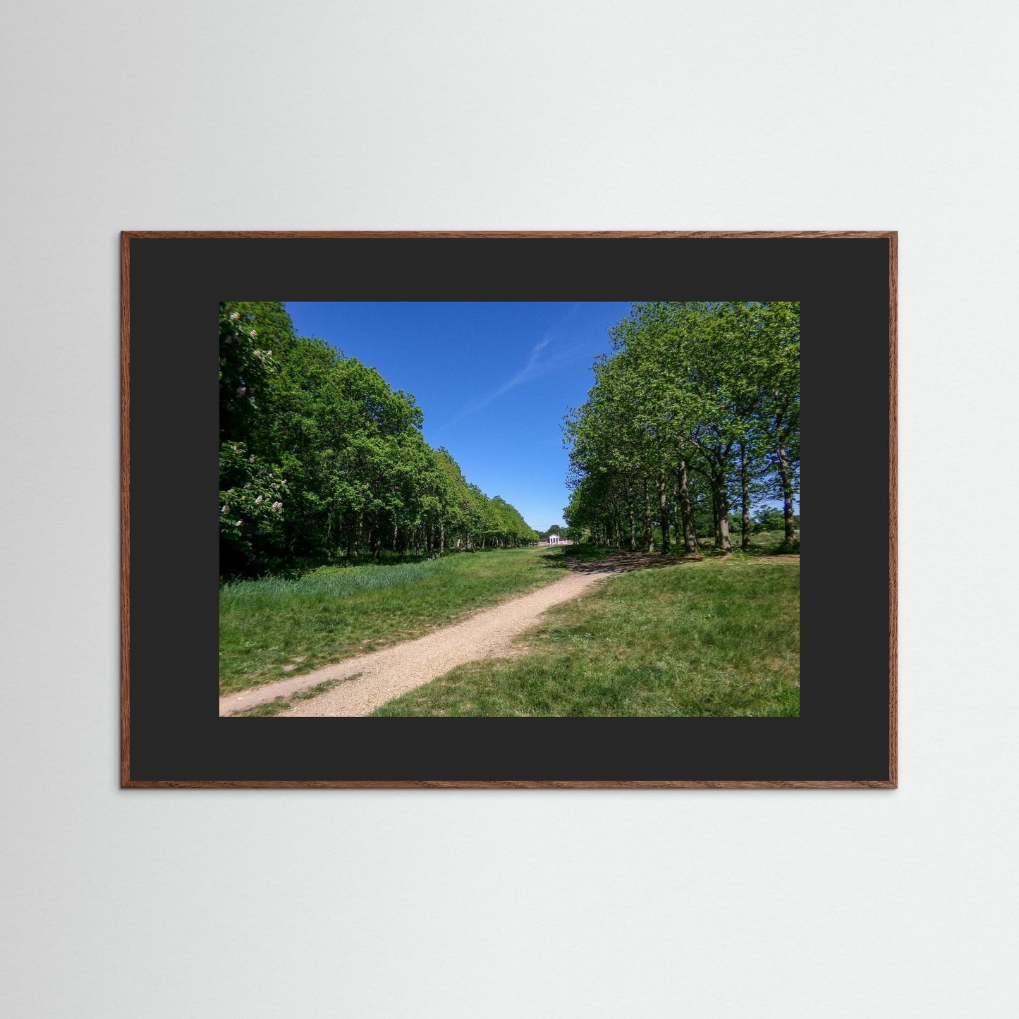 Pathway
