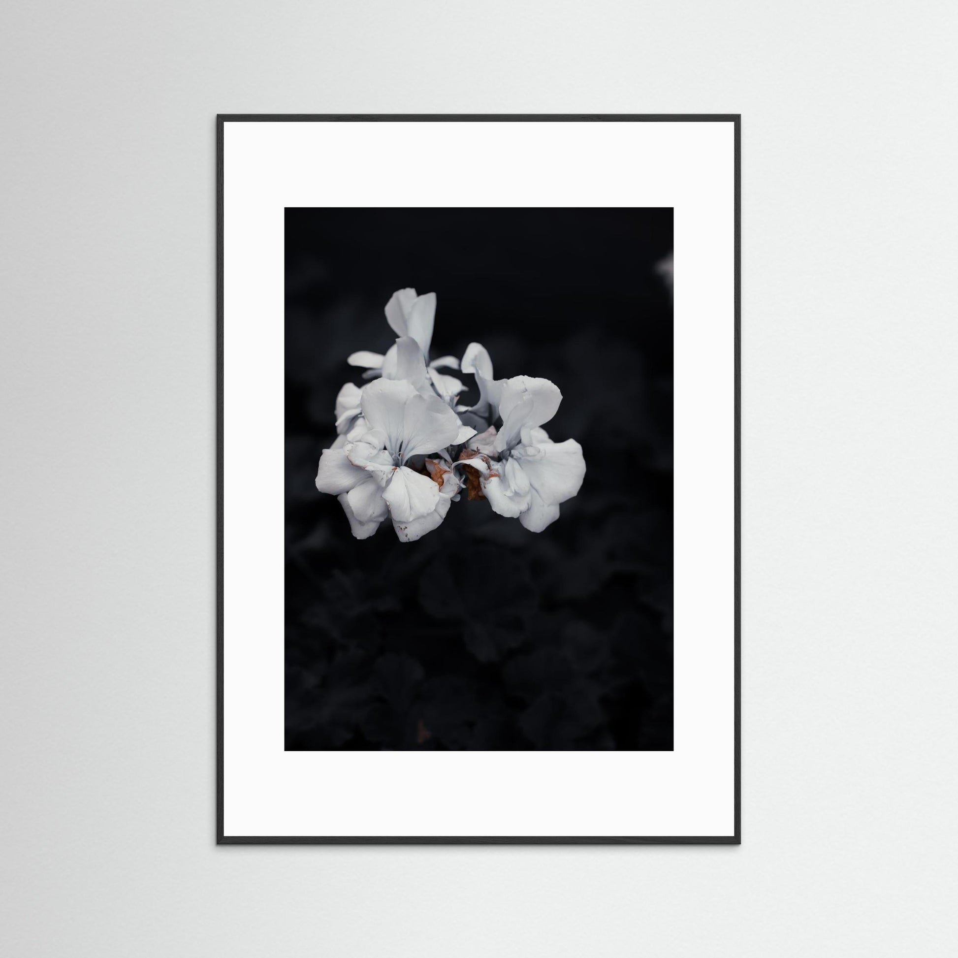 Quiet Bloom