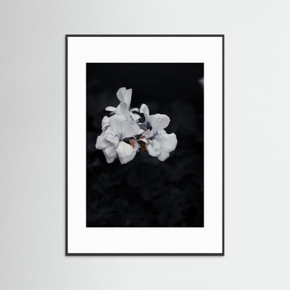 Quiet Bloom