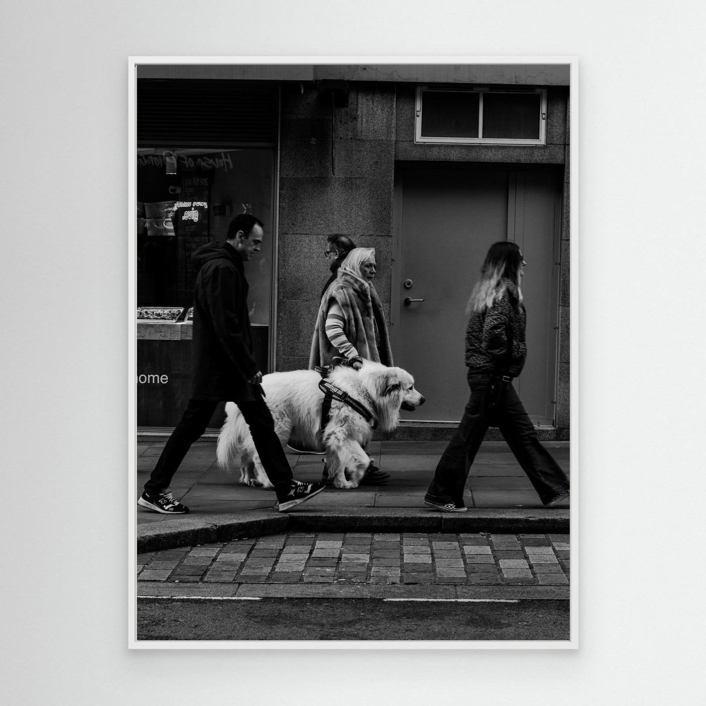 the white dog