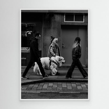 the white dog