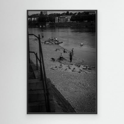 stillness along the river bank