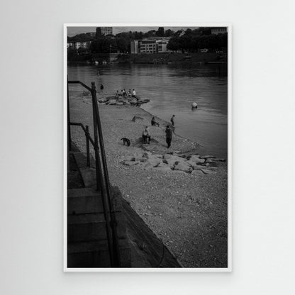 stillness along the river bank