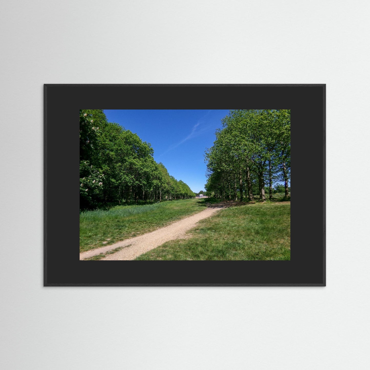 Pathway
