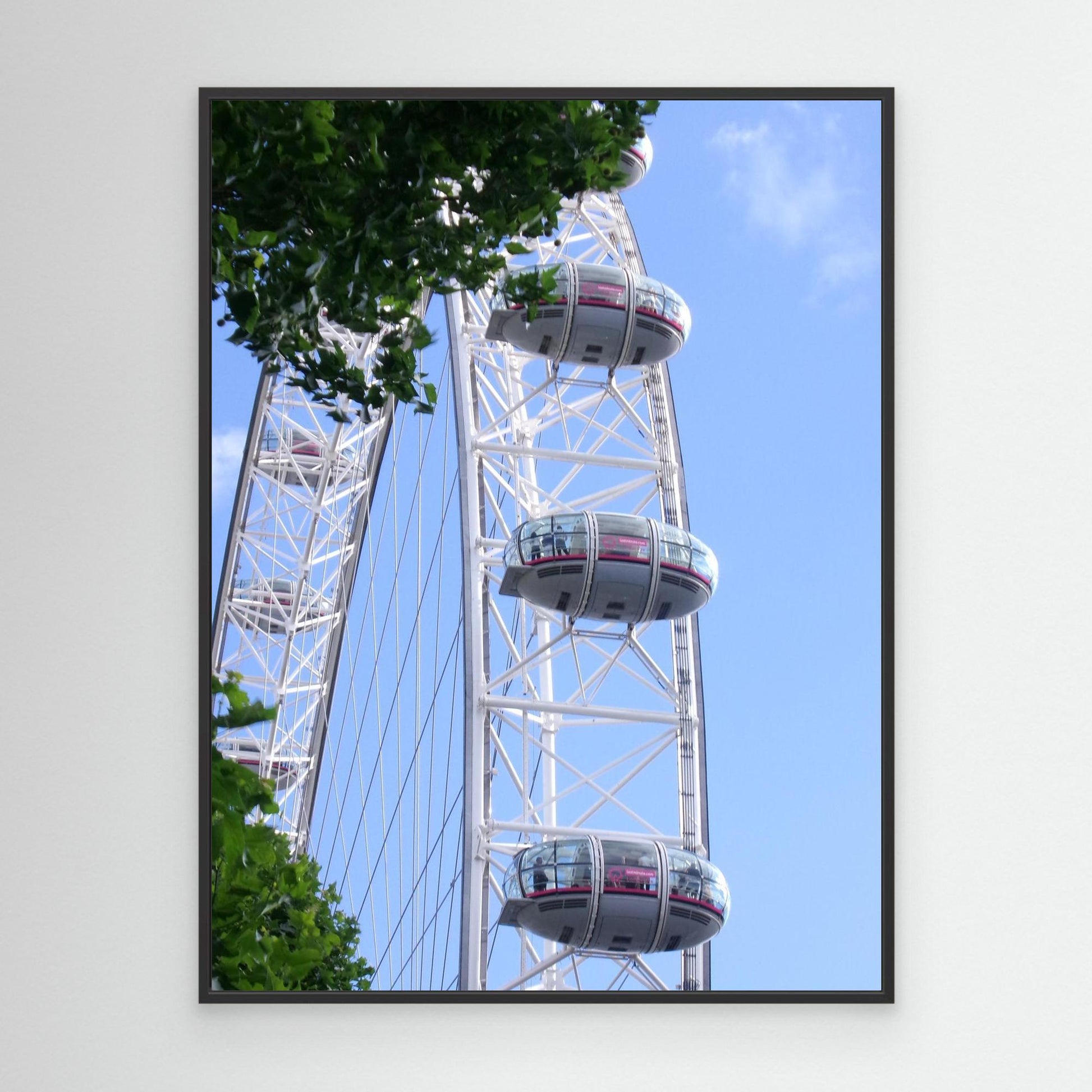 the eye