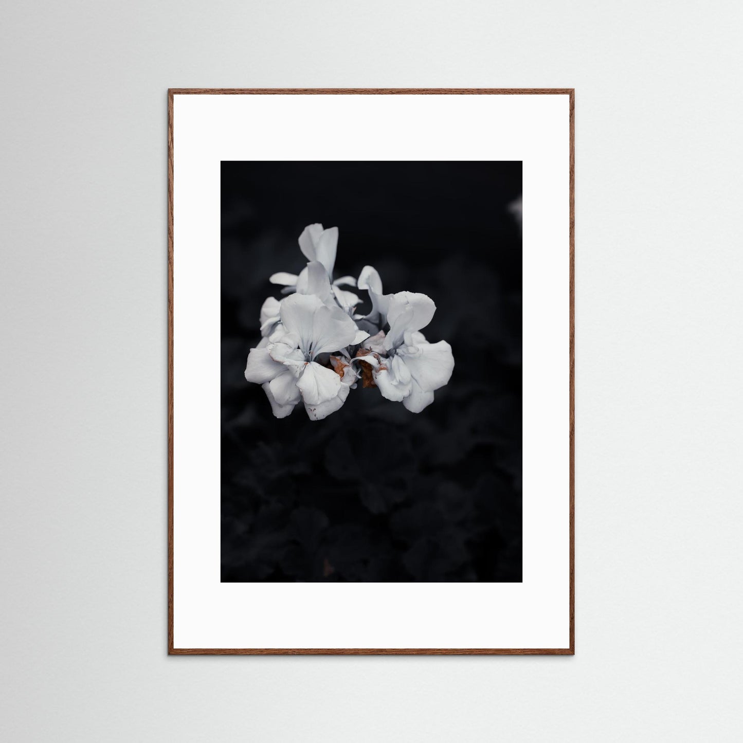 Quiet Bloom