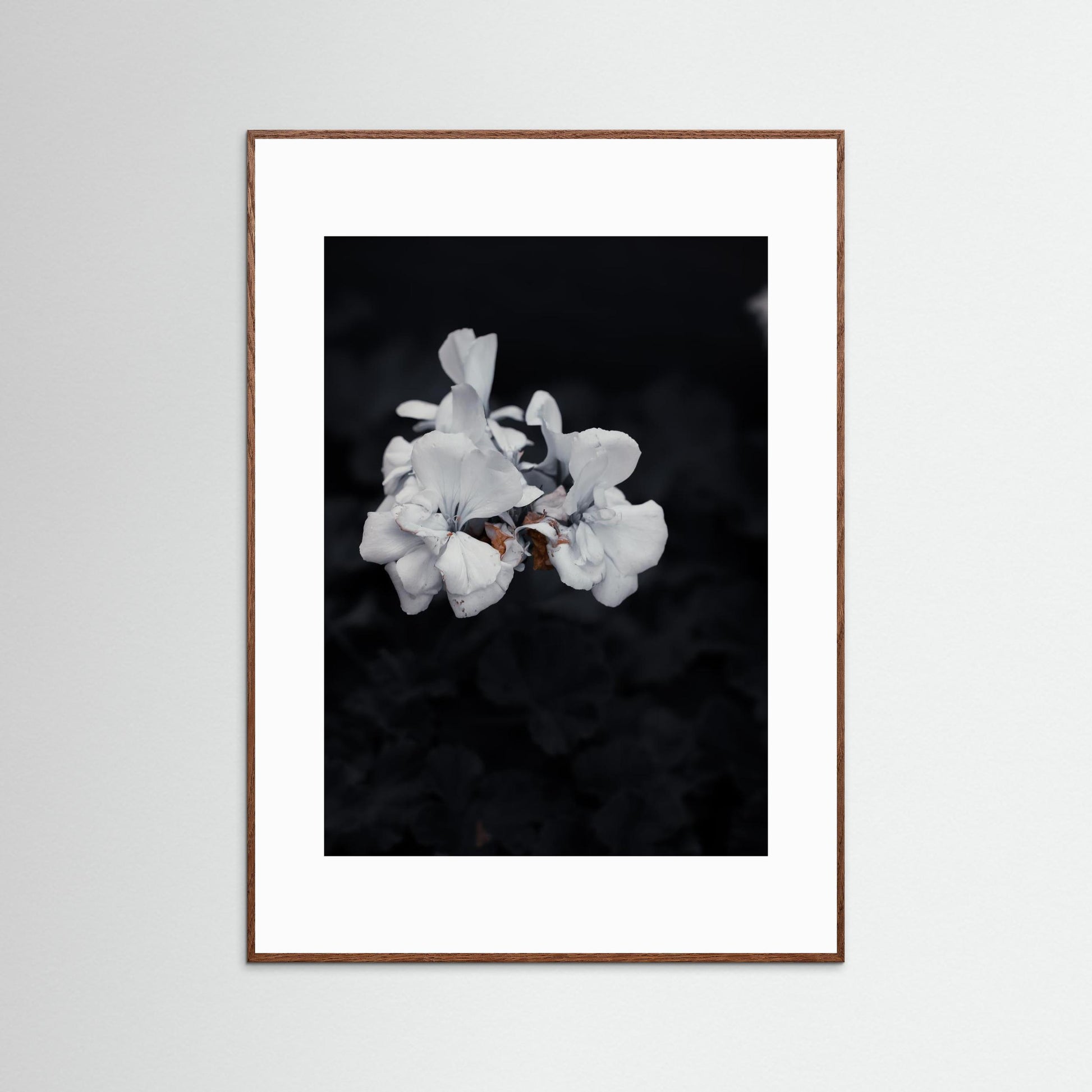 Quiet Bloom