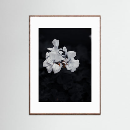 Quiet Bloom