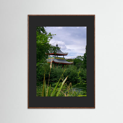 Hidden in the leaves