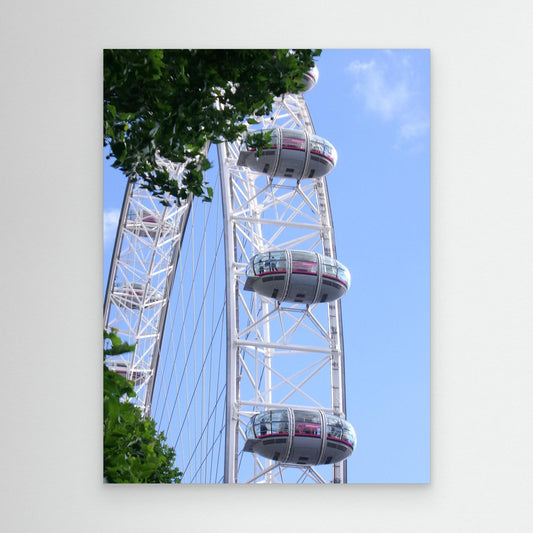 the eye