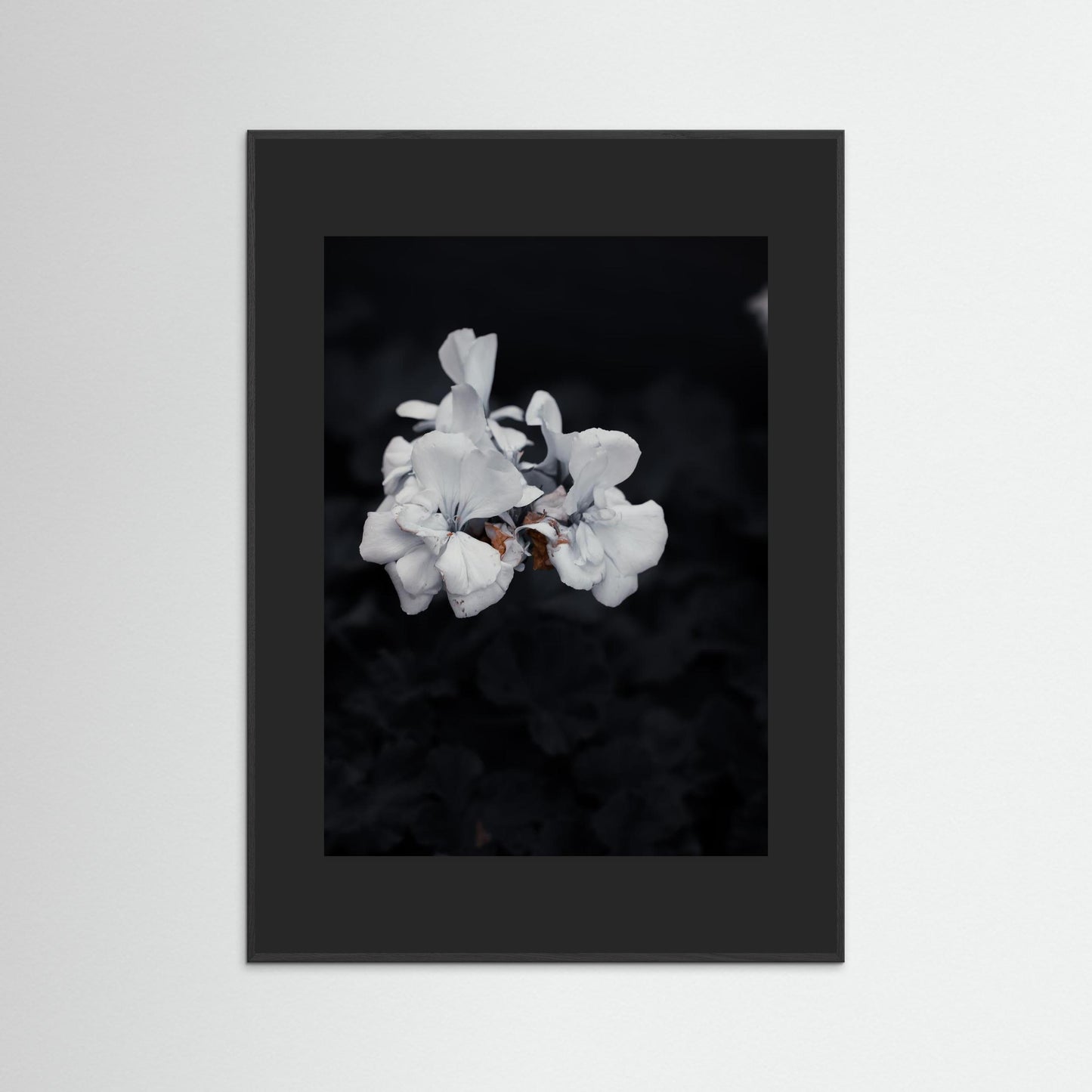 Quiet Bloom