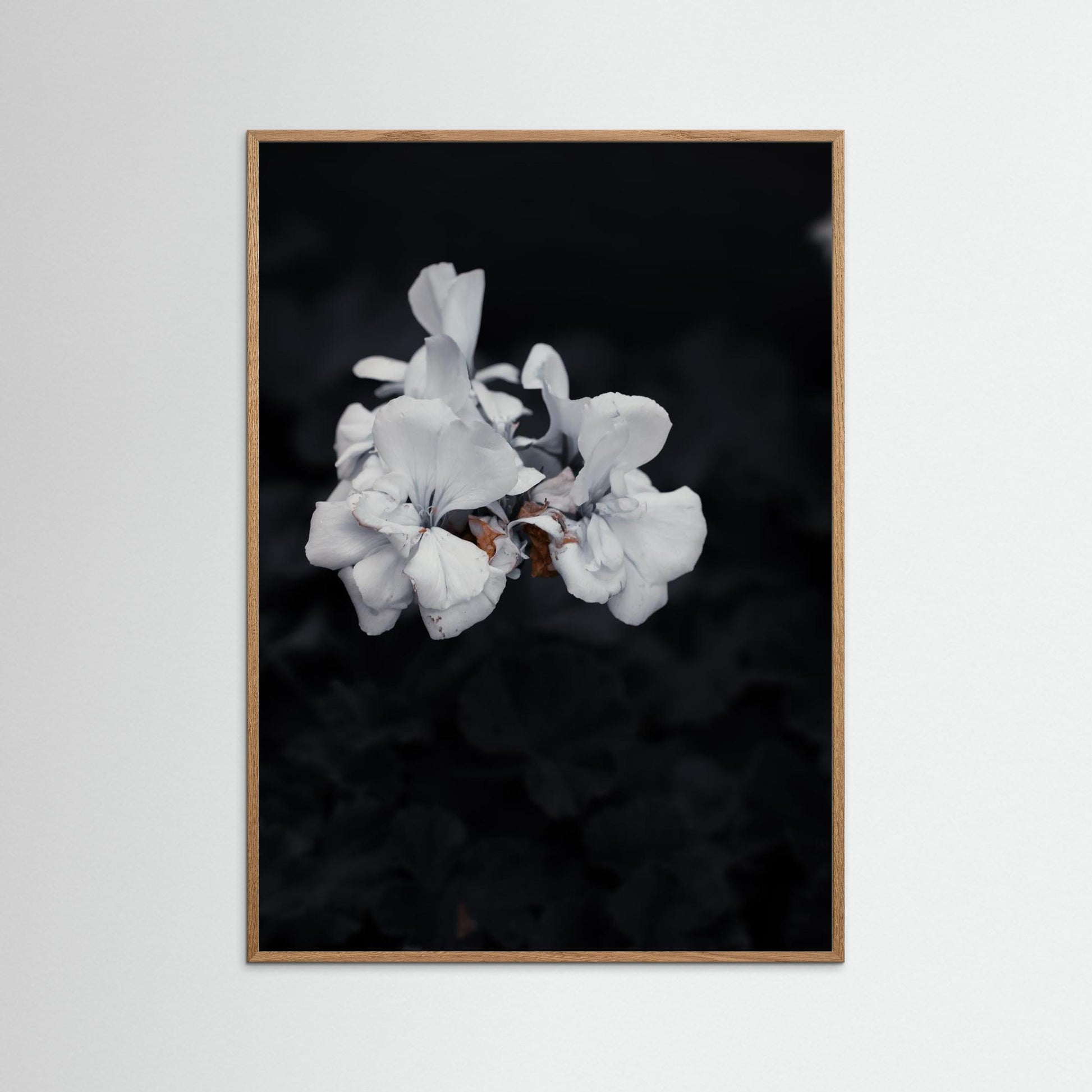 Quiet Bloom