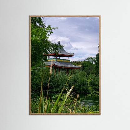 Hidden in the leaves