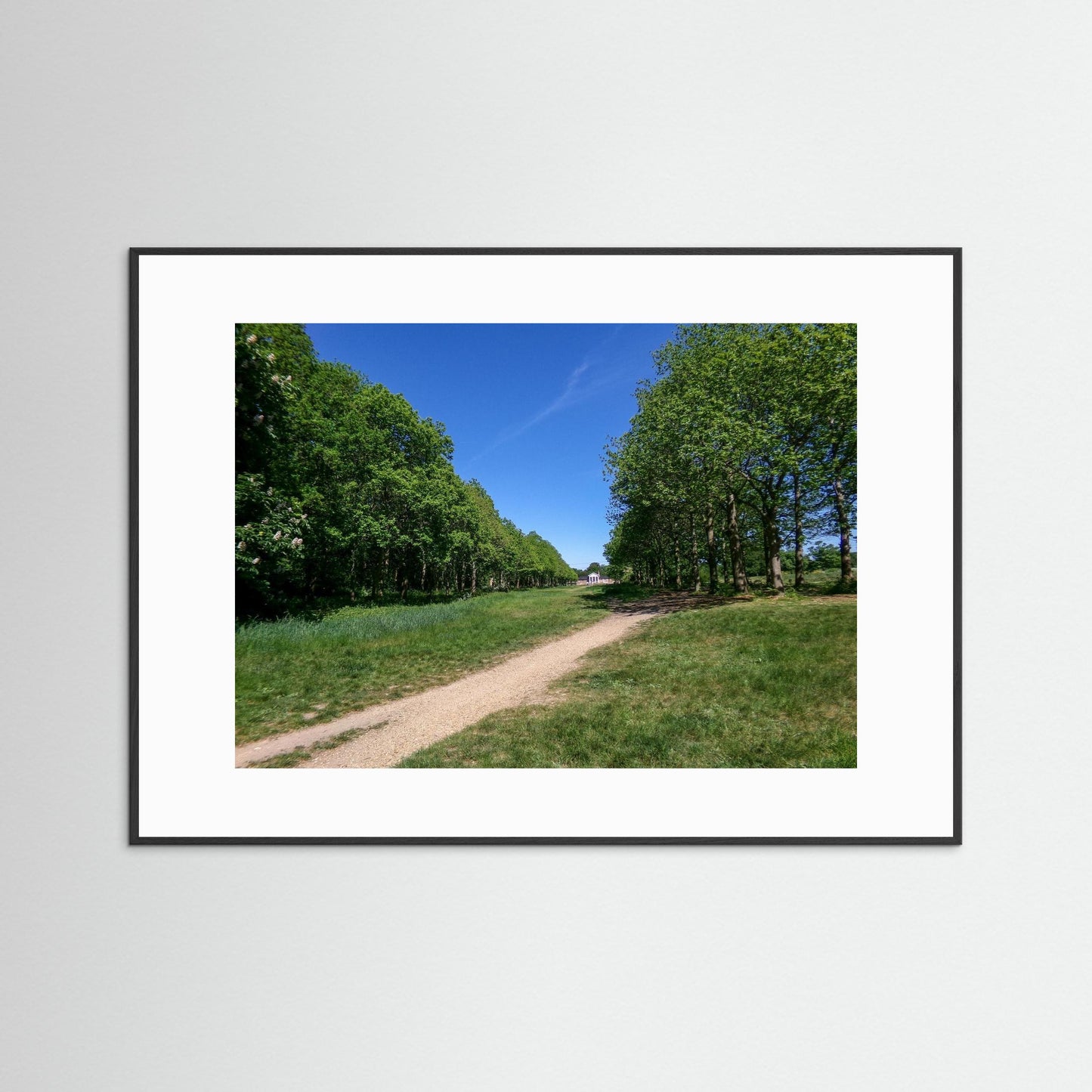 Pathway