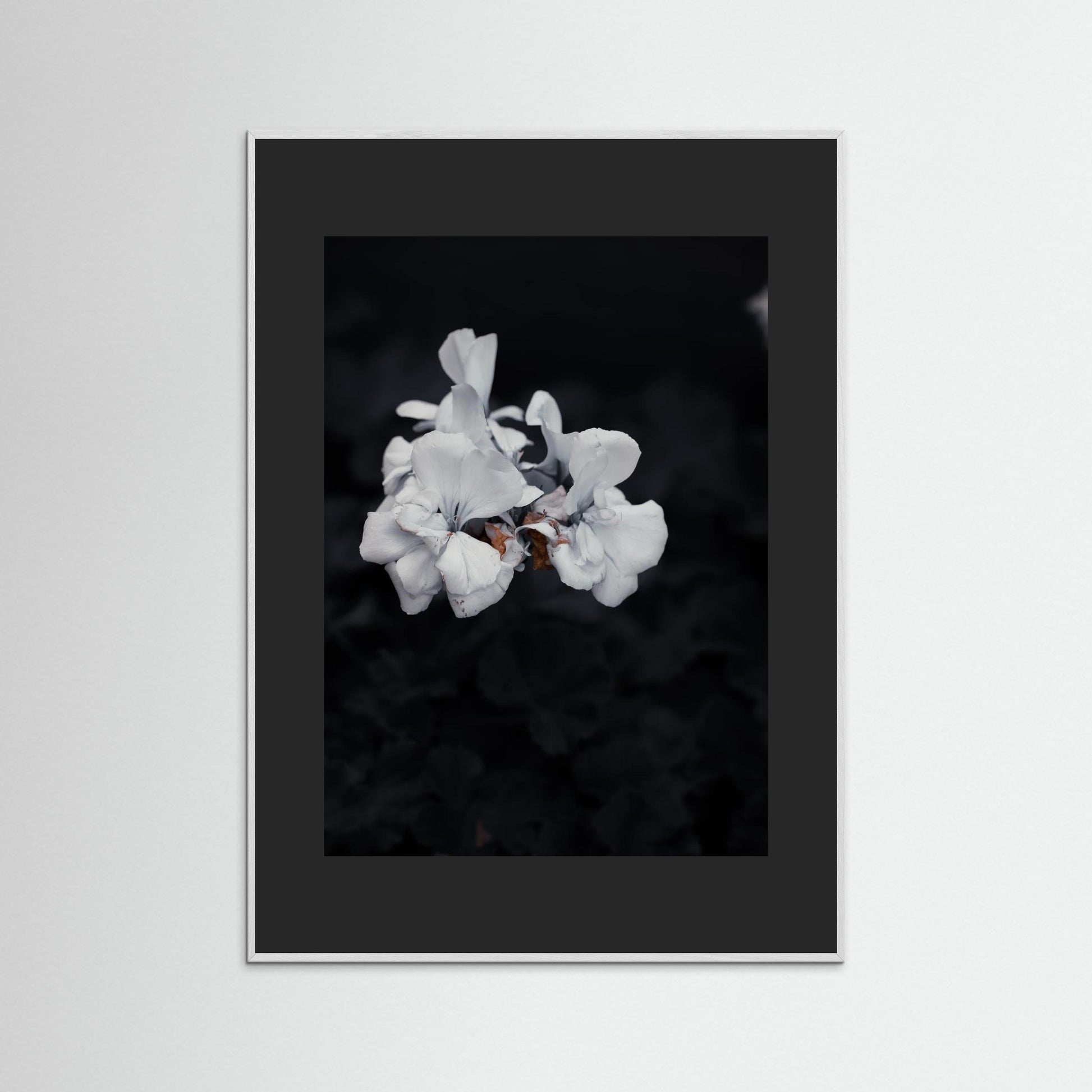 Quiet Bloom